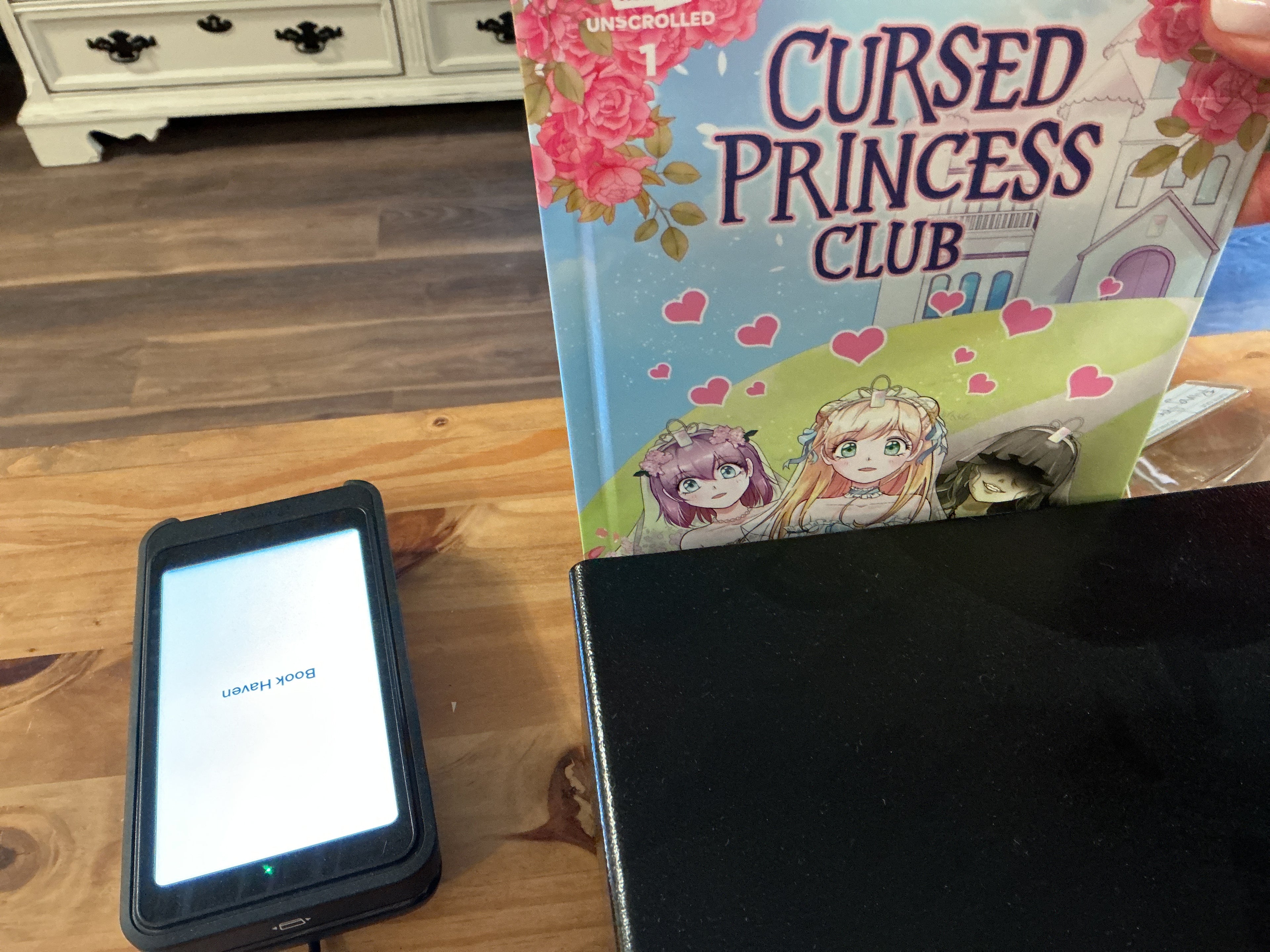 cursed Princess Club