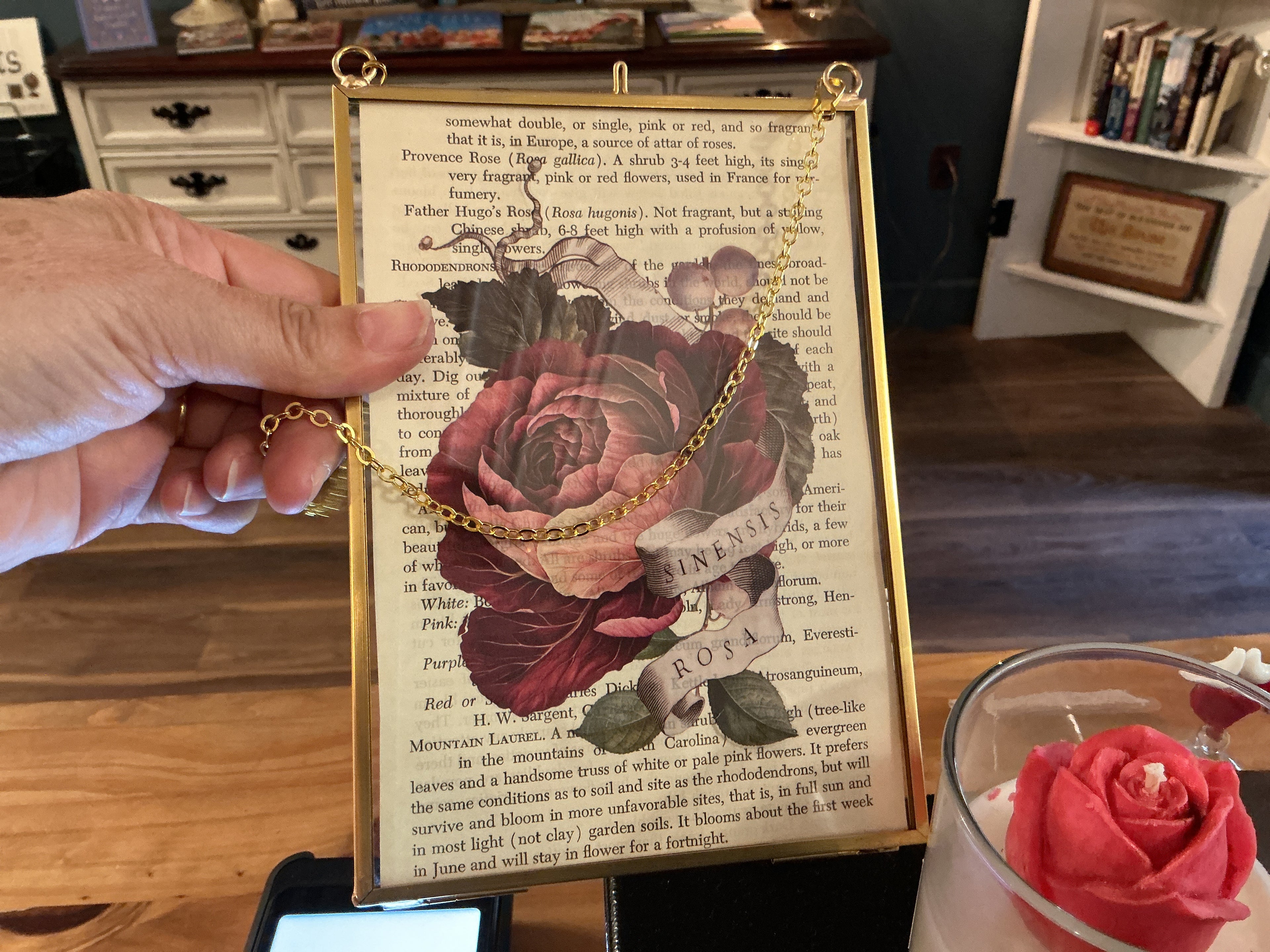 Gold framed flower print