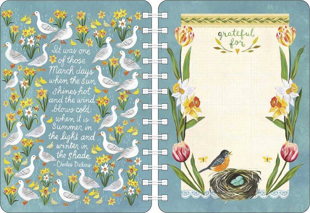 Katie Daisy 2027 Weekly Planner Calendar by Katie  Daisy