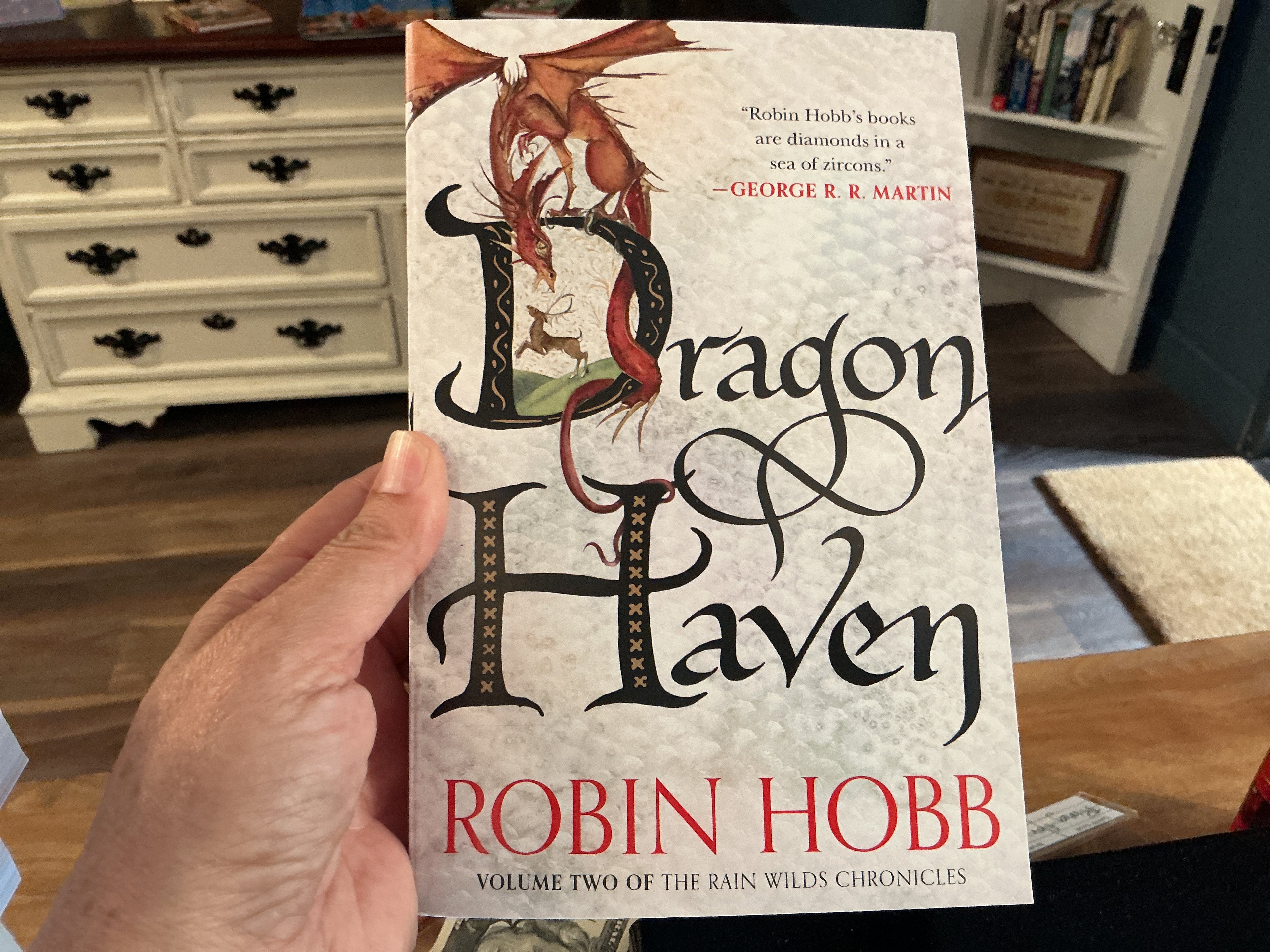Dragon haven