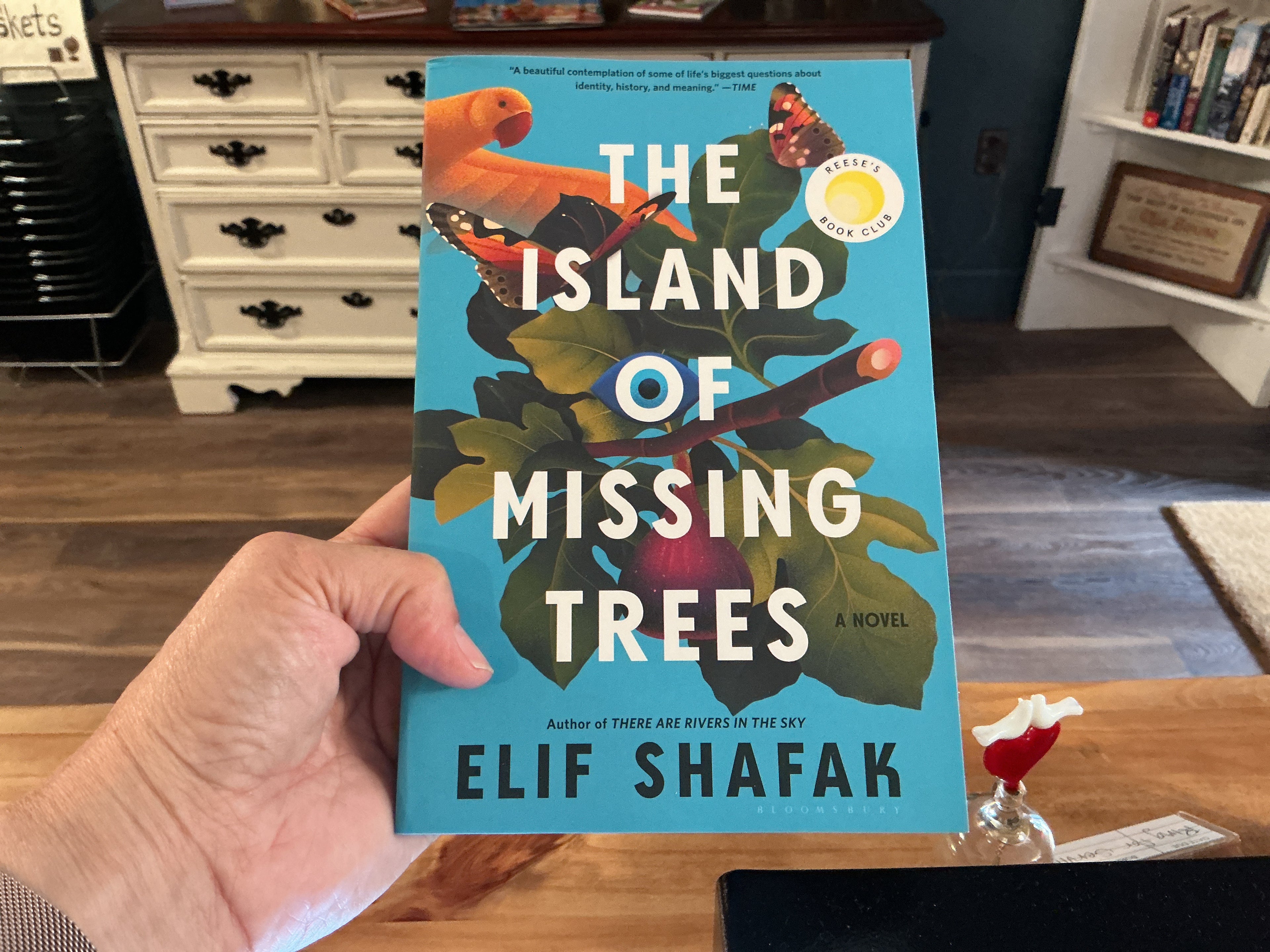 The island of missing trees